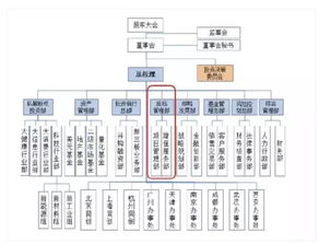 私募股权投资基金投后管理详解 从赋能到价值创造的全流程解析